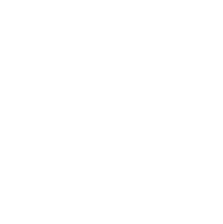 Vynzo Media symbol